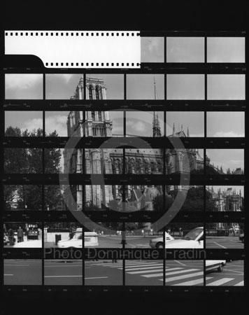 Cathédrale Notre-Dame. Paris, 1989.