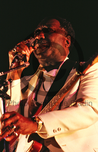 Muddy Waters. Rome, 1981.