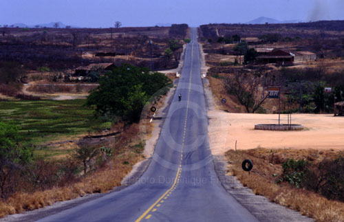 Mato Grosso.