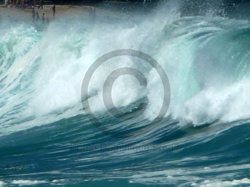 Tiuccia, Corse. 2010.