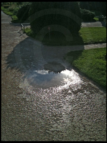 Jardin des Plantes, 2011.