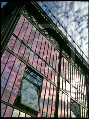 Jardin des Plantes, 2011.