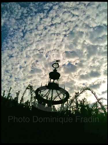 Jardin des Plantes, 2011.