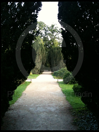 Jardin des Plantes, 2011.